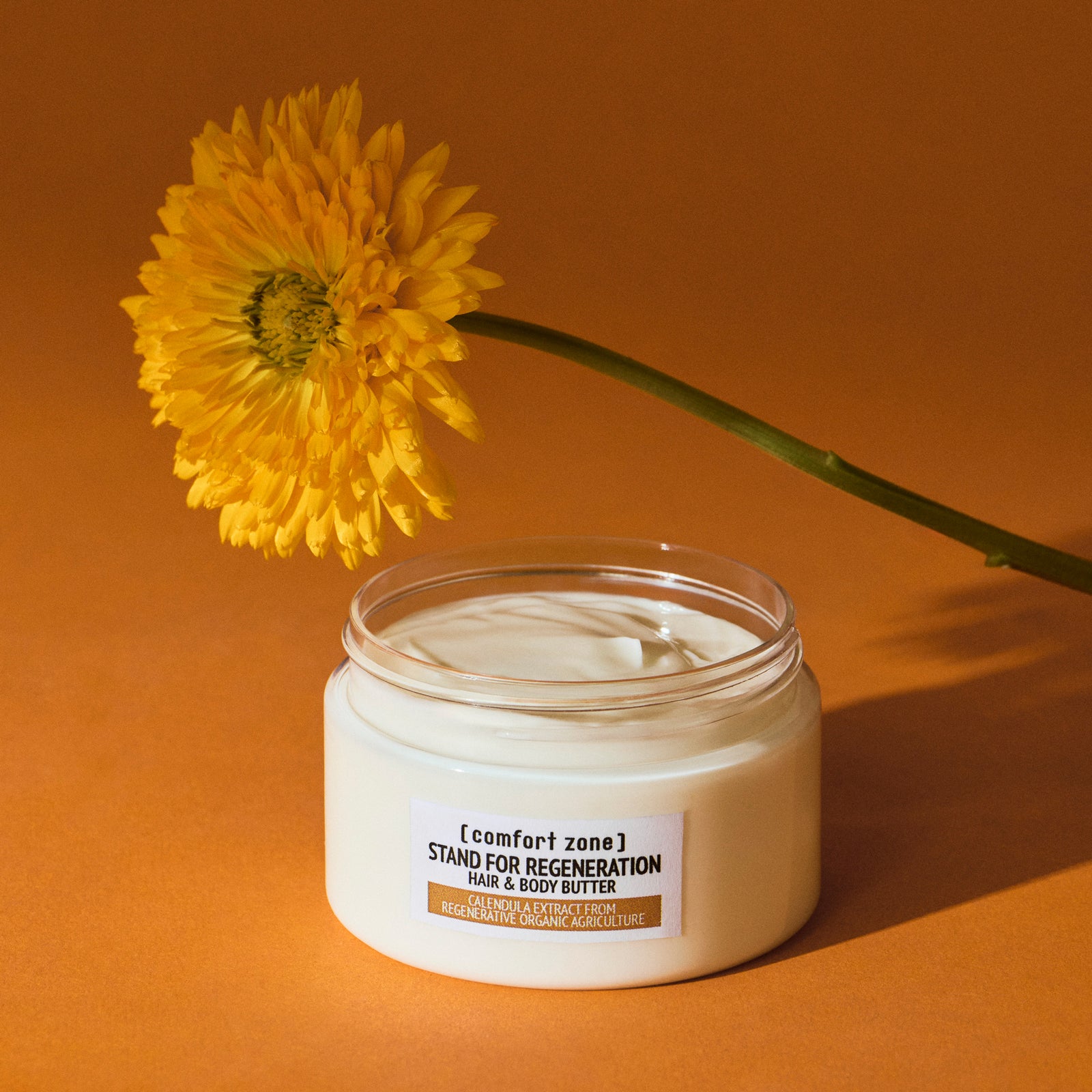 Comfort Zone: PROMOTIONAL - LIMITED EDITION Stand For Regeneration Hair &amp; Body Butter <p>Limited Edition</p>
-1.jpg
